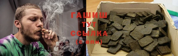 СК Ельня