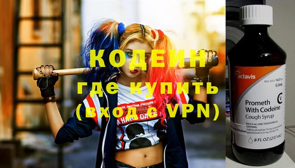 СК Ельня