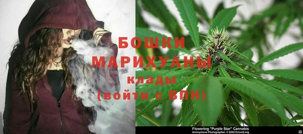 СК Ельня